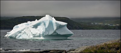 Iceberg in St. Anthony Bight
