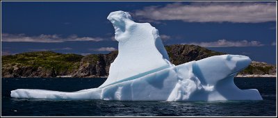 Twillingate Iceberg