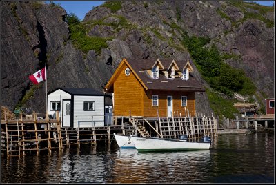 Quidi Vidi Harbour View