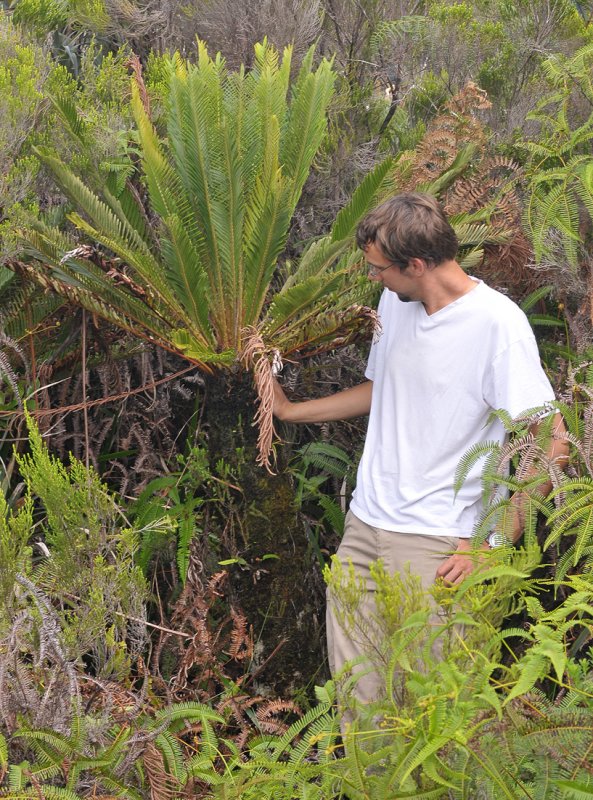 Blechnum tabulare with myself. (Photo Sebastiaan Brakenhoff).