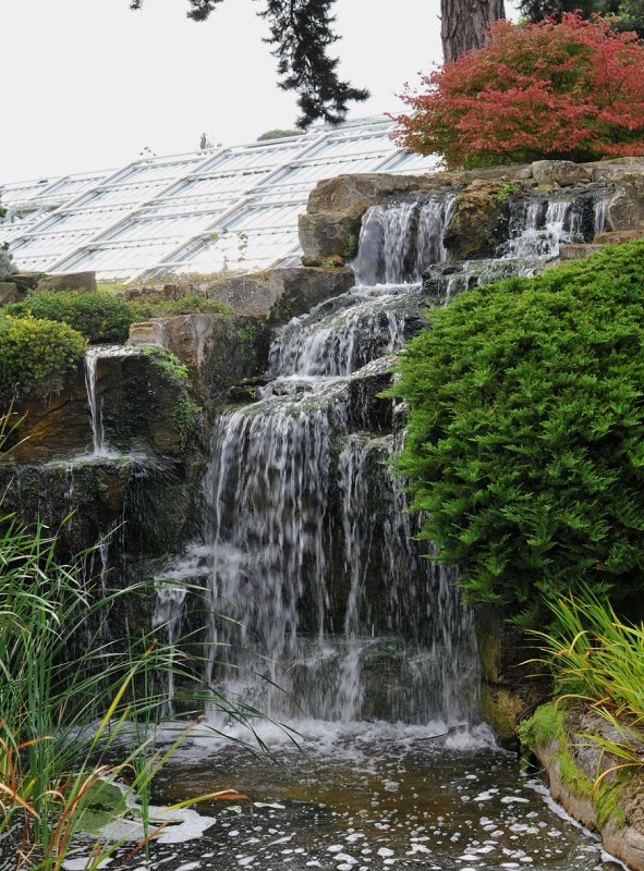 Kew. Alpine garden waterval