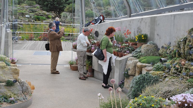 Kew. Alpine house. Publiek