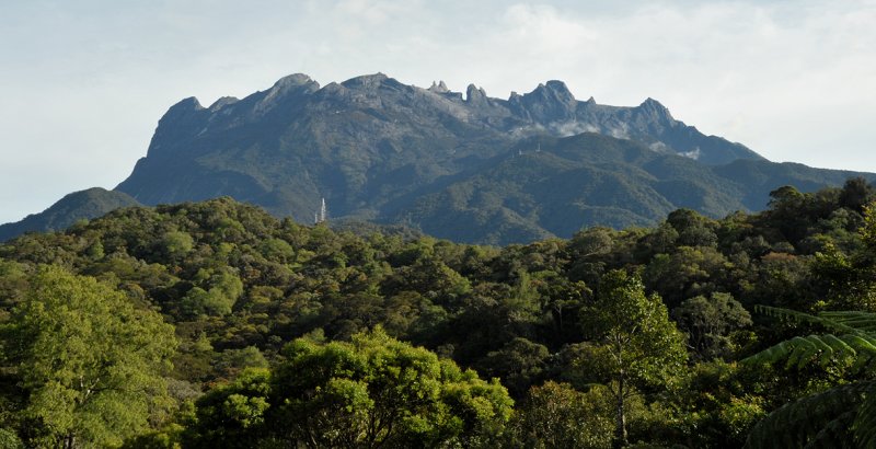 Mt. Kinabalu