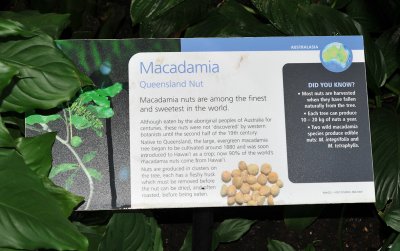Kew Infosign