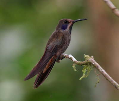ecuador