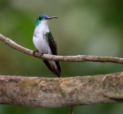 ecuador