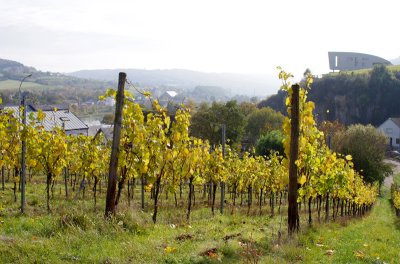Les vignobles glissent vers la Moselle.