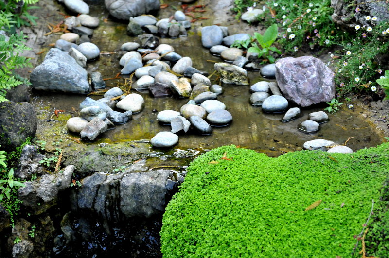 Hakone Japanese Gardens