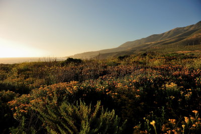 Big Sur, California