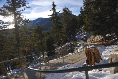 Mt San Jacinto State Park