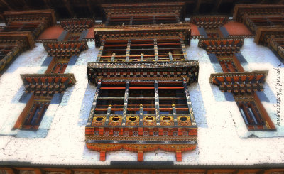 Rinpung Dzong Details
