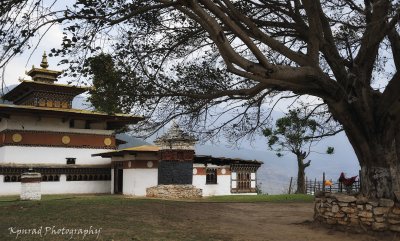 Chimi Lhakhang Temple