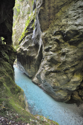 DSC_4375.jpg