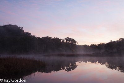 Early Morning On Dunns Swamp