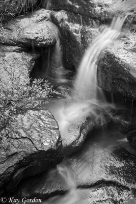 Below Fairy Falls