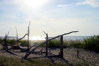 05.06.2011