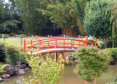 Bridge and Bamboo.jpg