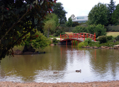 Ducks and Bridge.jpg