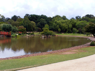 Lake and Trees.jpg