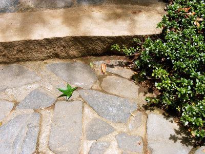 Stone Step.jpg