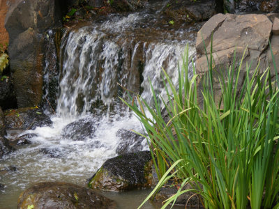 Water.jpg