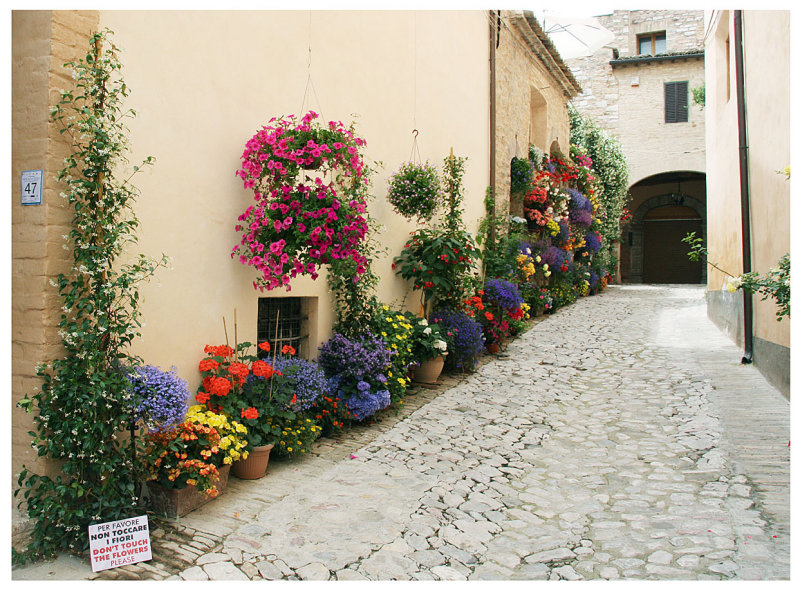 Spello_3-6-2008 (36).jpg