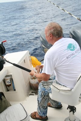 cancun_fishing_2011