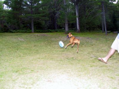 IMG_0941.JPG