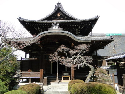 024 kyoto shrines and temples.JPG
