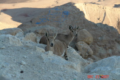 on way to eilat_10.JPG