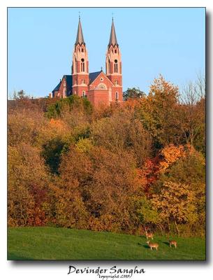 Holy Hill & Deers 1103
