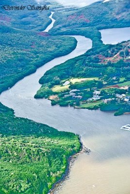 Wailua River 5026