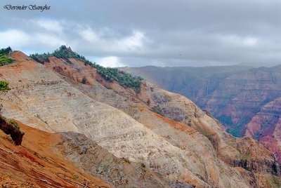 Waimea Canyon 4897