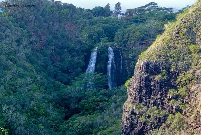 Opaeka'a Falls 4971