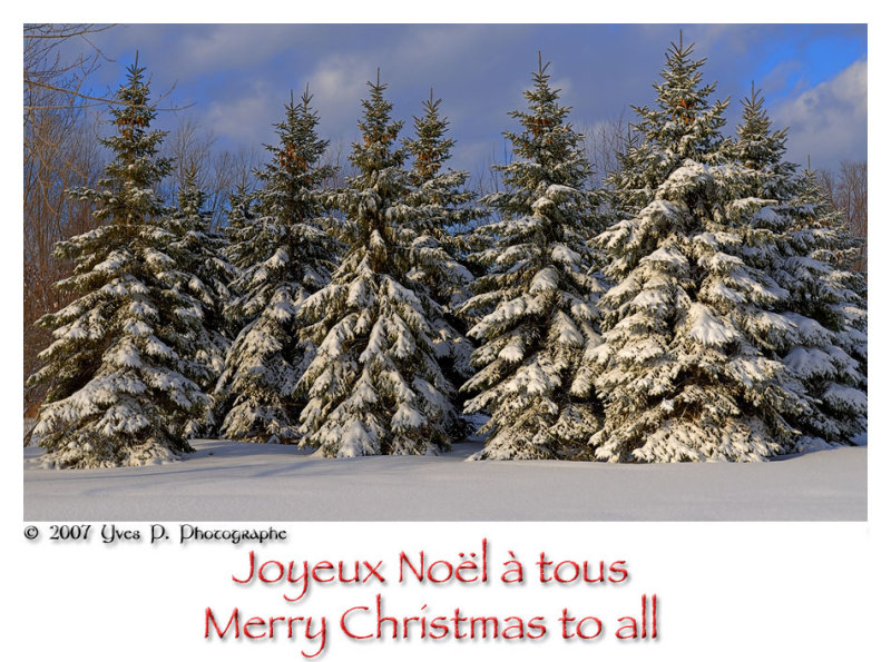 Joyeux Nol ///  Merry Christmas