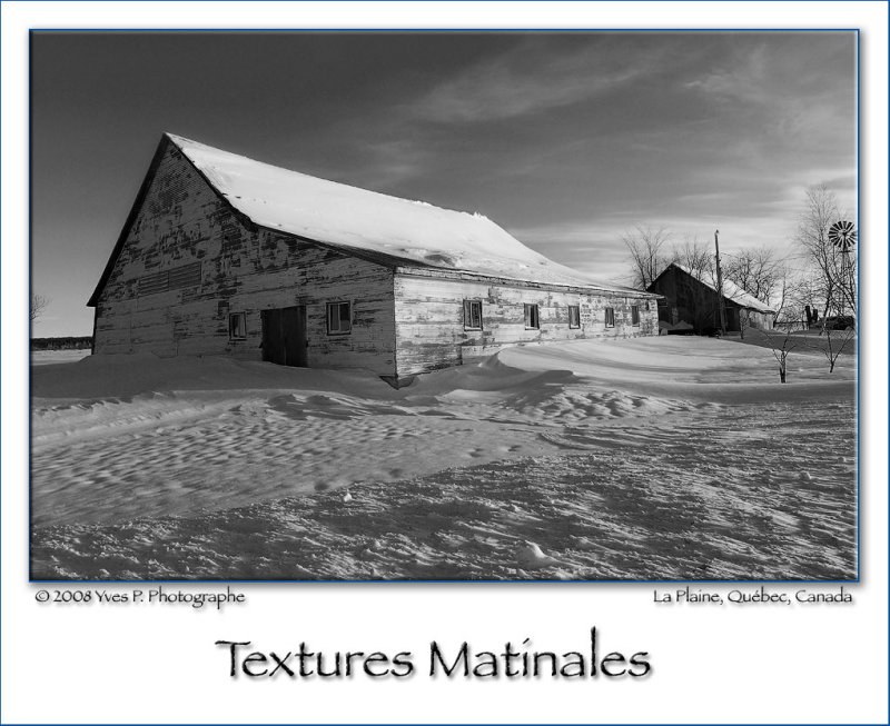 Morning textures ...