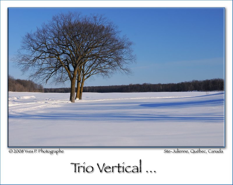 Vertical Trio ...
