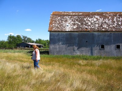 barn and penny1.jpg