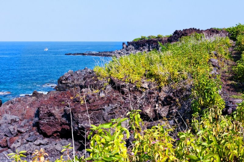 View from the King Kamehameha trail