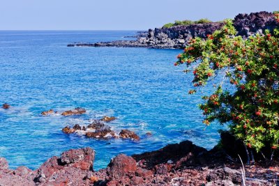 View from the King Kamehameha trail