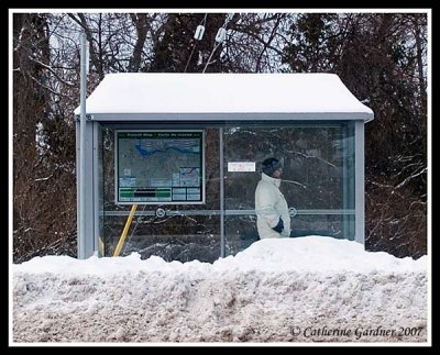 This was a wheelchair accessible bus stop