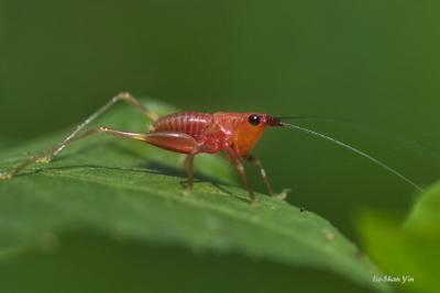 CRW_0543