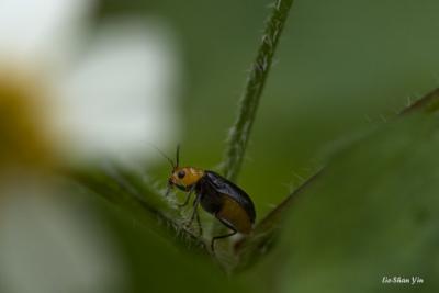 CRW_0547