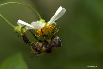 CRW_0557