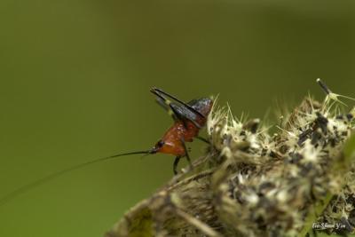 CRW_0568