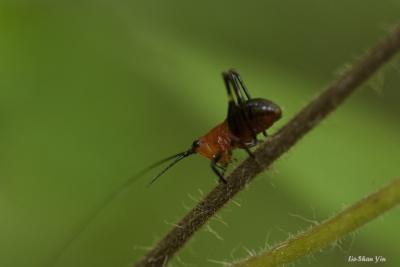CRW_0571