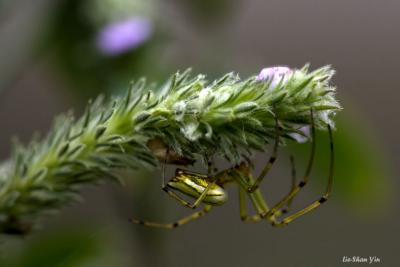 CRW_1632