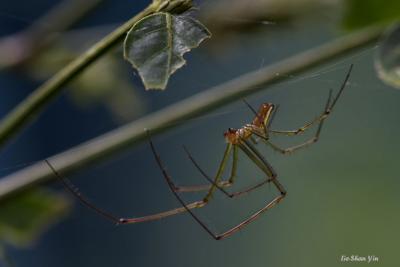 CRW_1637