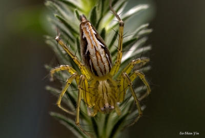 CRW_1638