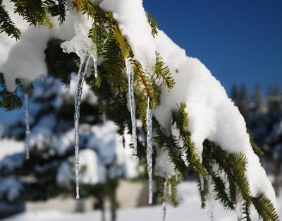 Snowy Day